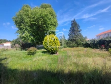 BEAU TERRAIN AVEC DEPENDANCE  1