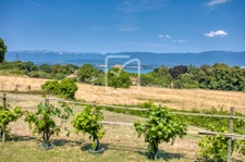 Villa contemporaine 170 m2   Vue lac panoramique   Chens-sur 10