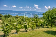 Villa contemporaine 170 m2   Vue lac panoramique   Chens-sur 4
