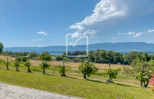 Villa contemporaine 170 m2   Vue lac panoramique   Chens-sur 21