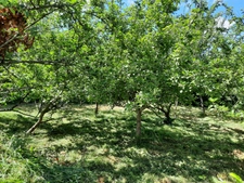  RARE A 5 MINUTES GARE ST MEDARD & St AUBIN D AUBIGNE MAISON