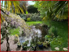 Liffré centre   grande maison 7 ch avec piscine et potentiel