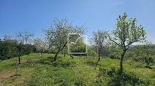 Beau terrain sur Yssandon 3