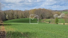 Beau terrain dégagée et lumineux sur Vignols 3