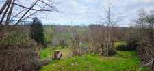 Terrain au calme à Brive 2
