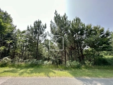Terrain de 2241 m2 à Marquay 3