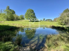 Propriété agricole dont 4000m2 constructibles 1