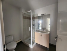 Appartement T2 Plaisance du Touch 4
