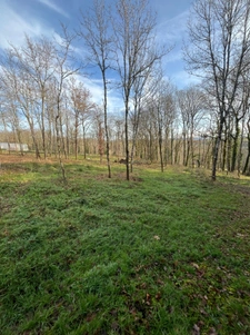 Terrain constructible - Saint Bonnet La Rivière 3