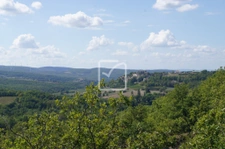Terrain boisé  1