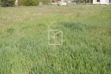 Terrain  plat constructible  bien exposé 1