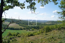 Terrain boisé  6
