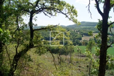 Terrain boisé  4