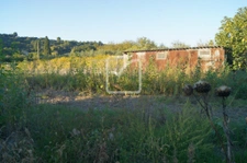 Terrain clos et arboré par de nombreux arbres fruitiers 4