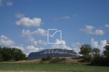 Terrain boisé  2