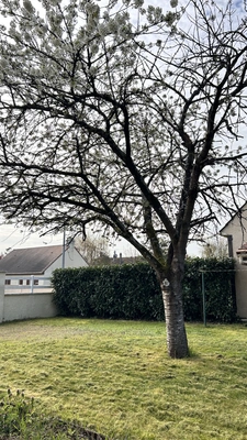 MEAUX 77100-MAISON INDIVIDUELLE-IDEAL FAMILLE 1