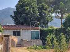 Rare et très beau terrain plat 3
