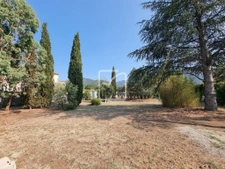 Rare et très beau terrain plat 2
