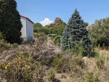 Maison de qualité au charme certain au sein d'un quartier ca 9