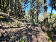 Beau et grand terrain constructible environnement nature!  9