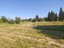 Maison atype et écologique dans la prairie! 18