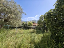 Spacieuse villa  sur 1767m2 19