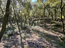 Beau et grand terrain constructible environnement nature!  1