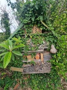 Belle propriété atypique 25