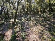 Beau et grand terrain constructible environnement nature!  2