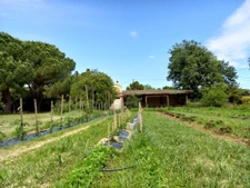 Belle propriété atypique 16