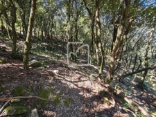 Beau et grand terrain constructible environnement nature!  7