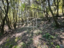 Beau et grand terrain constructible environnement nature!  3