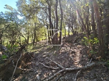 Beau et grand terrain constructible environnement nature!  8
