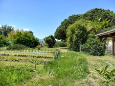 Belle propriété atypique 21