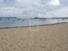 VENTE URGENTE  AU  CENTRE DU CAP FERRET  20 M DE LA  PLAGE  2