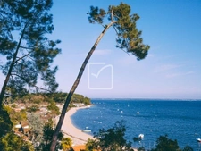 Jolie villa au CAP FERRET 3