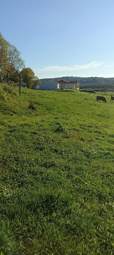 Terrain 1941 m2 Dampniat 1