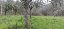 terrain Dampniat 8130 m2 3