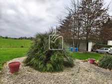 maison 165 m2 Augan 15