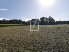 Terrain 9000 m2 MONTERTELOT 1