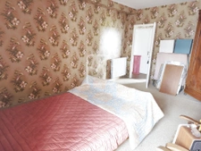 Maison + dépendances 82 m2 Maxent 7