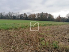 Terrain 9000 m2 MONTERTELOT 3
