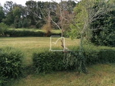 Double maison 89 m2 Augan, 2100 m2 terrain 13