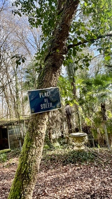  Superbe Terrain Boisé  ( Landes ) - Idéal pour Loisirs et N