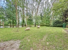 Rare et unique : Ancien moulin de caractère niché dans une f