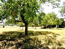 Terrain à bâtir   Opportunité rare dans une commune dynamiqu