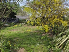 Maison de caractère en pierre   115 m2   Jardin 673 m2   Ter