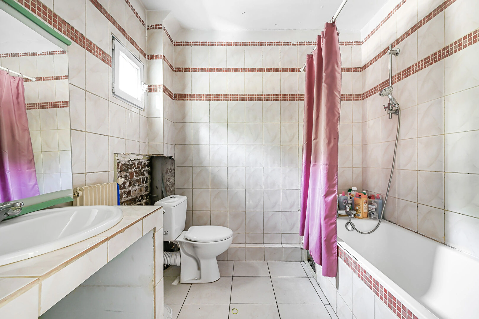 SAINT-MAURICE - BORDS DE MARNE 7