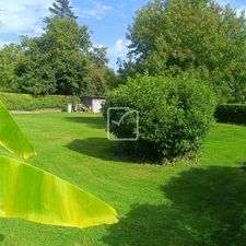 Propriété, piscine, 4 chambres, 2300 M2 de terrain à Guillie 17