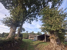Corps de Ferme et sa maison individuelle de 5 chambres GUILL 14